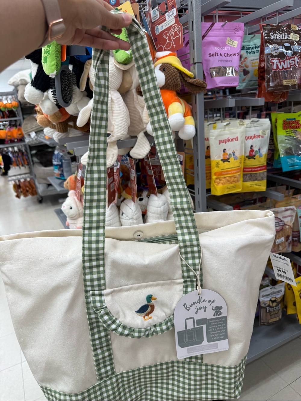 Canvas Tote Bag with Green Gingham Trim and Duck Embroidery